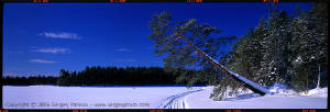 white-sea-6x17-11.jpg