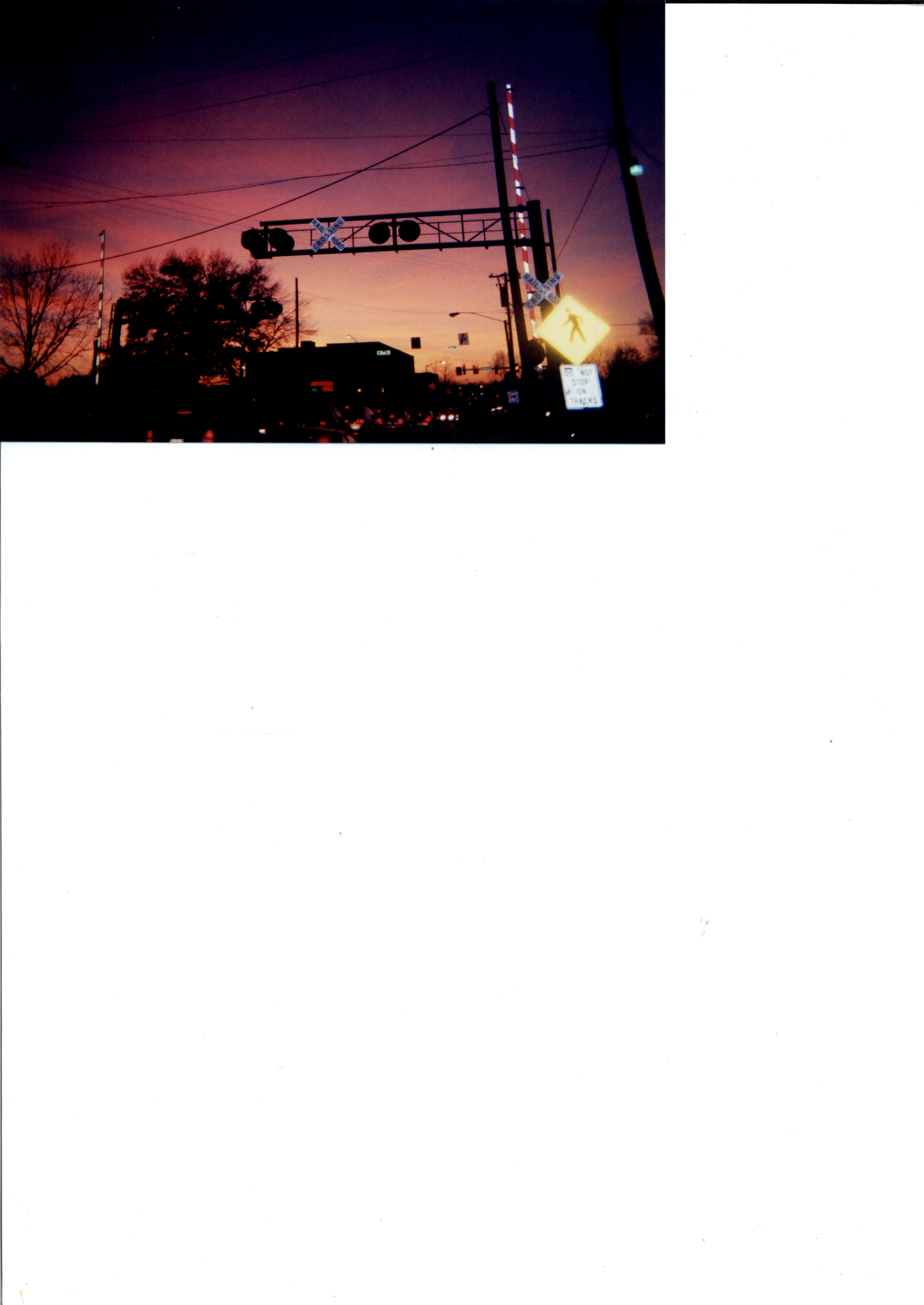 nightskyline.jpg